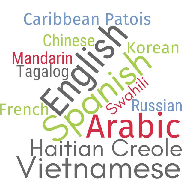 Wordcloud of languages used by the cohort memer's students: English, Spanish, Arabic, Haitian Creole, Vietnamese, Caribbean Patois, Chinese, French, Korean, Swahili, Tagalog, Russian, and Mandarin.